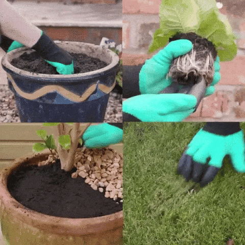 Gants de Jardinage Magiques